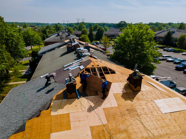 24/7 Emergency Roof Repair experts in Belleville, MI